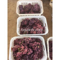 2019 YUNNAN GRAPES START